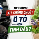 nên dùng xịt chống chuột ô tô hay tinh dầu