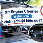 Xịt Engine Cleaner ở đâu để chống chuột hiệu quả?