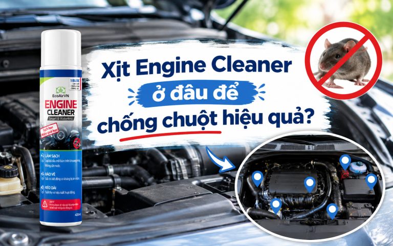 Xịt Engine Cleaner ở đâu để chống chuột hiệu quả?
