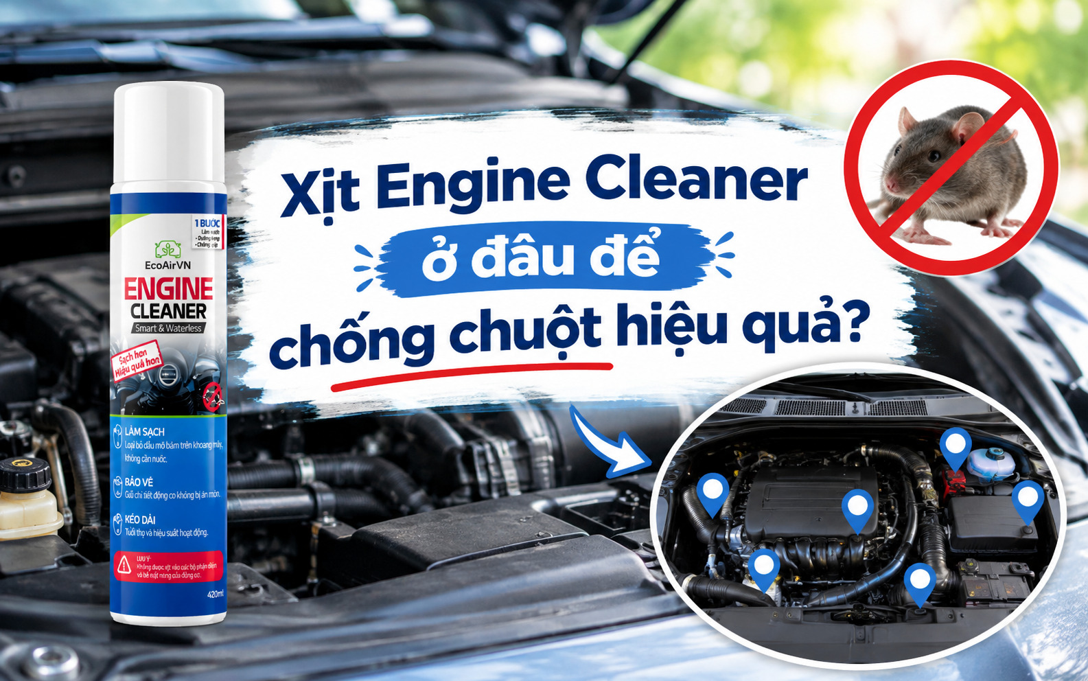 Xịt Engine Cleaner ở đâu để chống chuột hiệu quả?