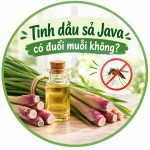 Tinh dầu sả Java có đuổi muỗi không?