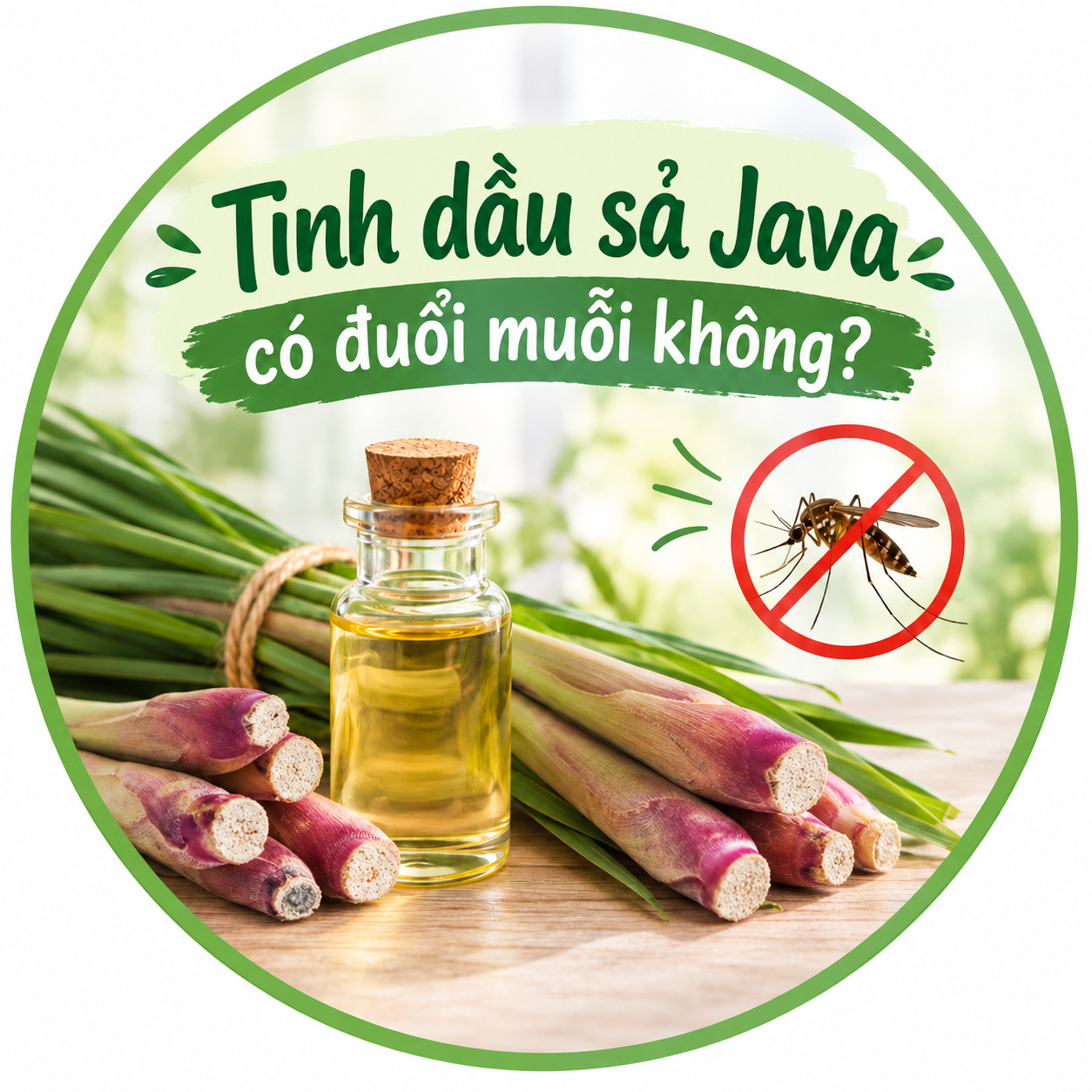 Tinh dầu sả Java có đuổi muỗi không?