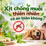 Xịt chống muỗi thiên nhiên có an toàn không?