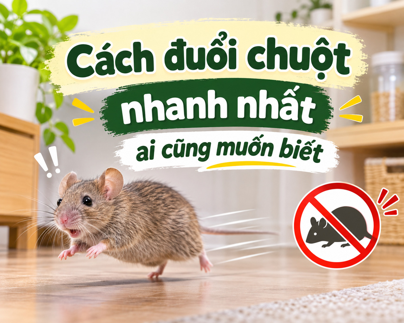 Cách đuổi chuột nhanh nhất ai cũng muốn biết