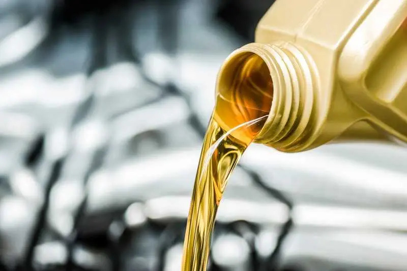 Chuột có sợ dầu nhớt không? 