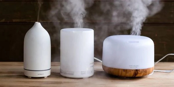 Tinh dầu oải hương có đuổi muỗi không? 