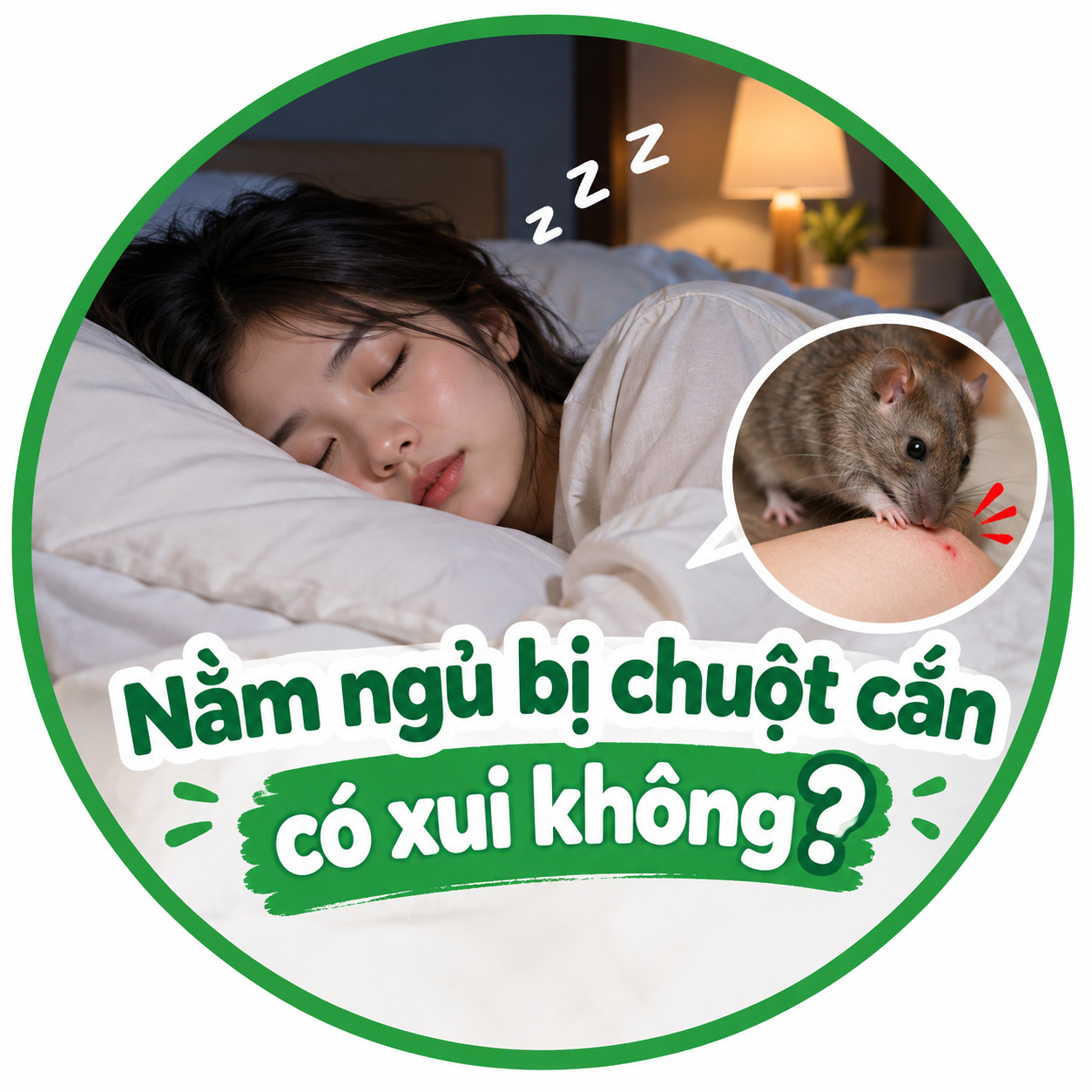 Nằm ngủ bị chuột cắn có xui không?