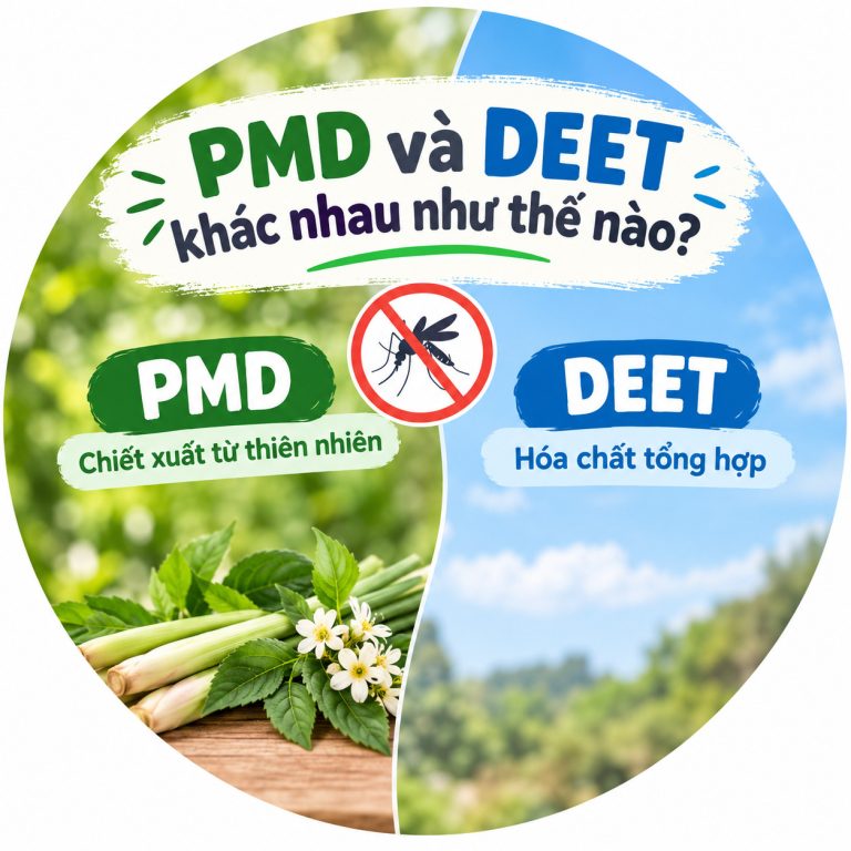 PMD và DEET khác nhau như thế nào?