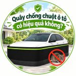 Quây chống chuột ô tô có hiệu quả không?