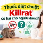 Thuốc diệt chuột Killrat có hại cho người không?