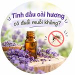 Tinh dầu oải hương có đuổi muỗi không? 