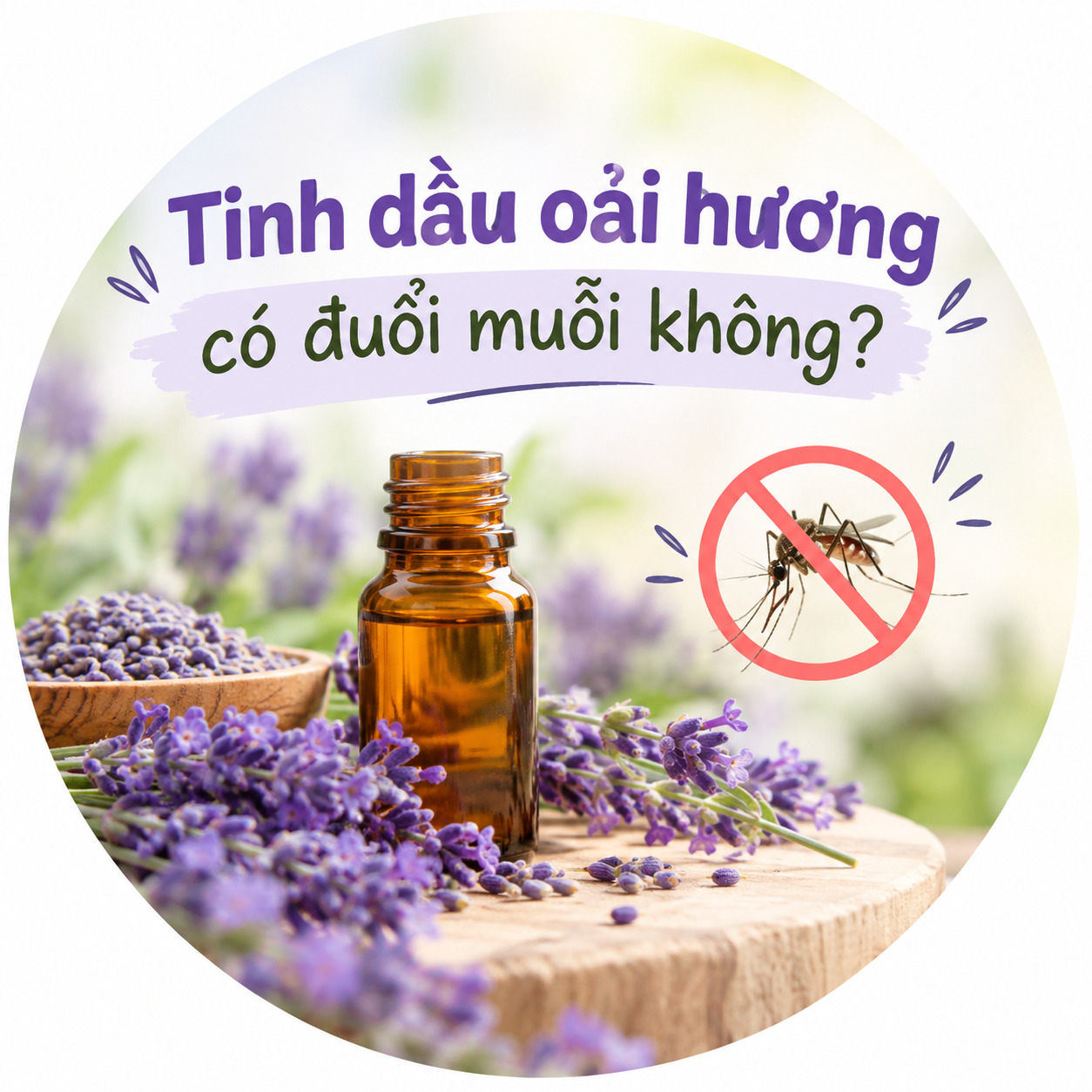 Tinh dầu oải hương có đuổi muỗi không? 