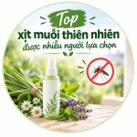 Top xịt muỗi thiên nhiên được nhiều người lựa chọn
