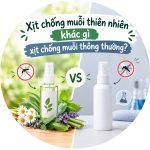 Xịt chống muỗi thiên nhiên khác gì xịt chống muỗi thông thường? 