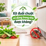 Xịt đuổi chuột có dùng trong nhà được không?